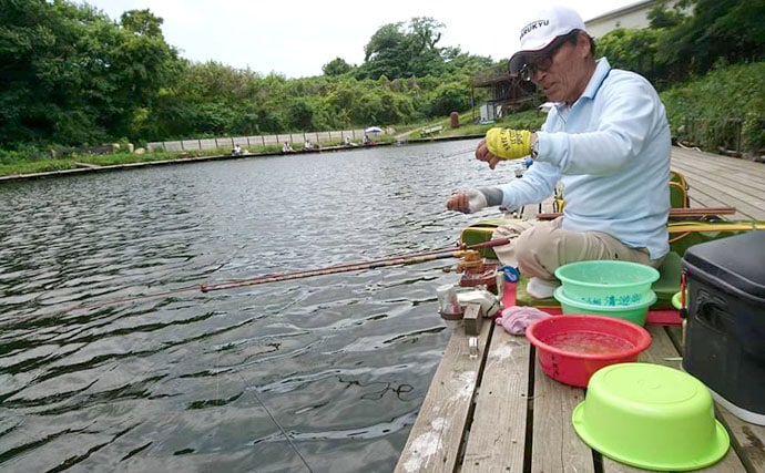 初めてのヘラブナ釣り体験で両ダンゴに挑戦！【千葉県富里市・富里乃堰】 | TSURINEWS