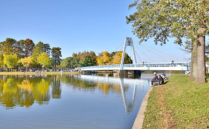秋空の下、紅葉を感じながら下町の水郷水元公園で小物釣りを楽しもう！