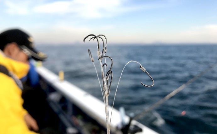 ハリの使い方でカワハギ釣りの戦略を考えてみよう ハゲ針と丸セイゴ針 Tsurinews