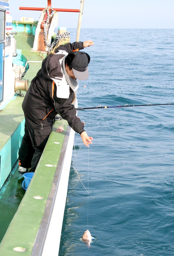 紀北・加太の伝統釣法。高道具を使ってマダイを釣る【釣り方編】