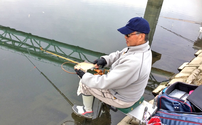 魚影濃厚！冬も元気な合志川でヘラブナ釣り【熊本県合志川】