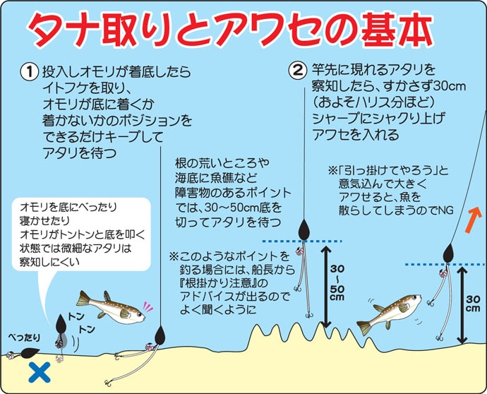 茨城～外房のショウサイフグ！釣り方を確認してみよう！図を添えて……