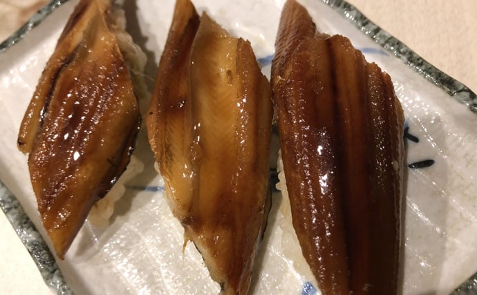 夜アナゴ釣行：釣果で作る絶品煮穴子寿司レシピも！【千葉県・東京湾】