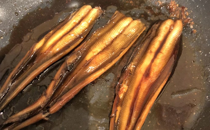 夜アナゴ釣行：釣果で作る絶品煮穴子寿司レシピも！【千葉県・東京湾】