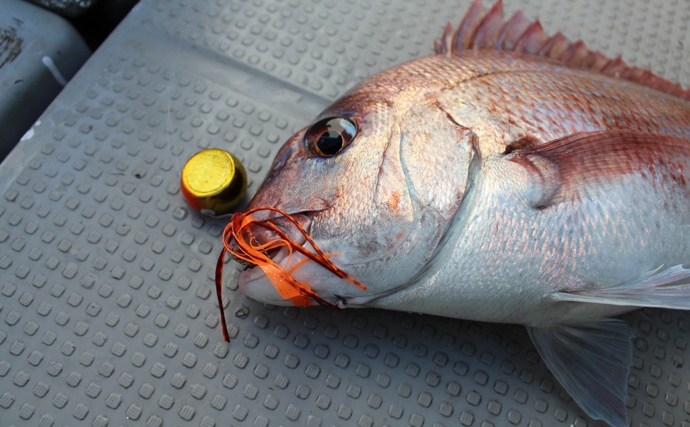 タイラバ解説：人気の釣り方でマダイを釣ろう！【釣り方編】