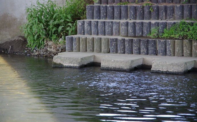 淡水小物釣行：子連れで楽しいハゼ＆テナガエビ【神奈川県・下菊川】