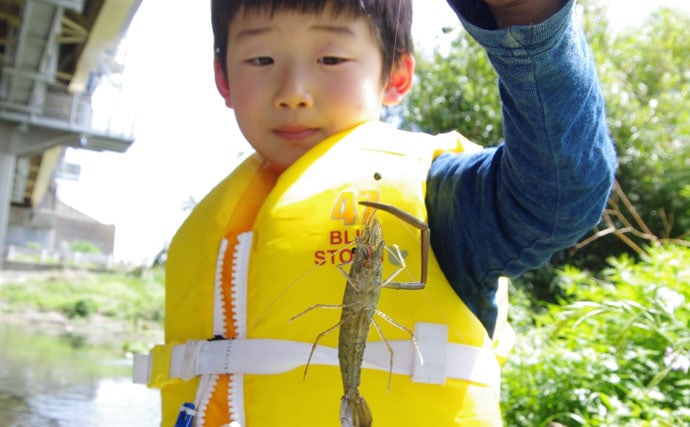 淡水小物釣行：子連れで楽しいハゼ＆テナガエビ【神奈川県・下菊川】