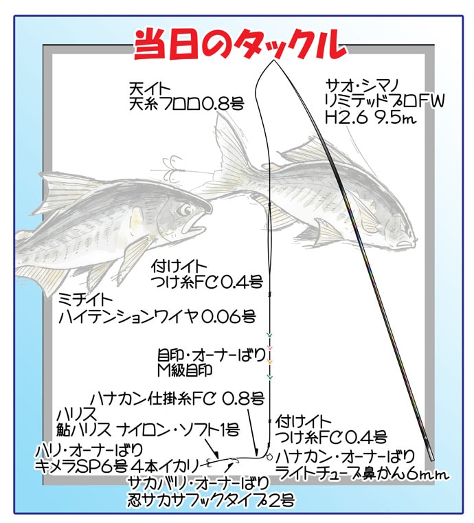 鮎トモ釣り釣行：解禁日らしい入れ掛かりで良型41尾【奈良県・天の川】