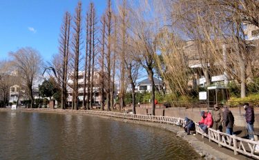東京都板橋区のオアシス見次公園でクチボソ釣りの妙味を体験