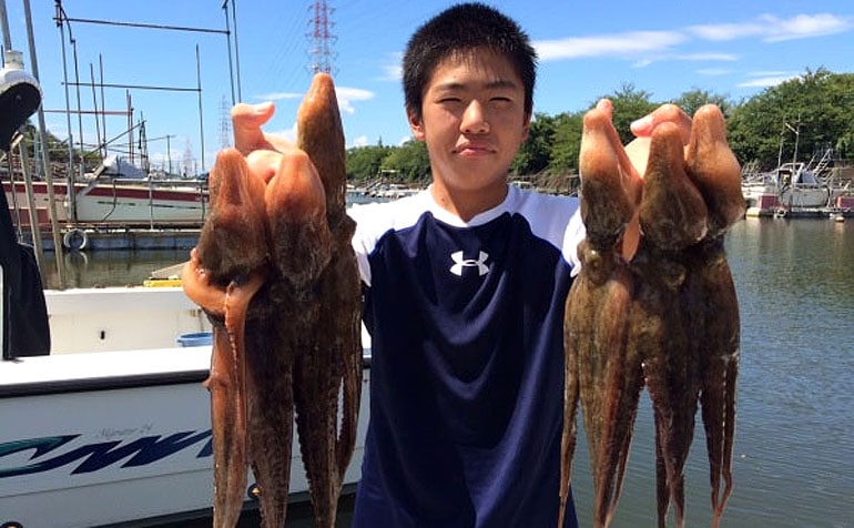 堤防から狙ってみよう マダコのルアー釣りスタートガイド Tsurinews