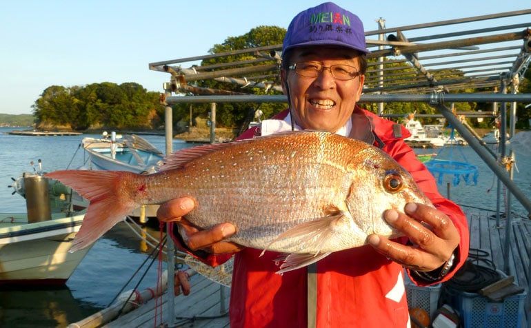 伊勢湾の伝統釣法に挑戦！エビを撒いて釣るウタセマダイ釣り【釣り方編】 | TSURINEWS