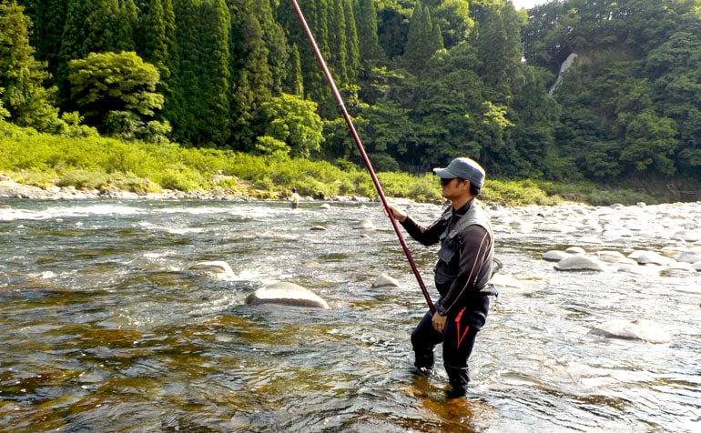 アユの友釣りの基本 泳がせ釣りで天邪鬼なオトリアユをうまく誘導しよう Tsurinews