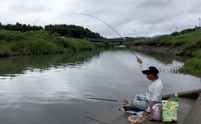 ヘラブナ本流河川でドボン釣り作戦【熊本県山鹿市・岩野川】 Tsurinews