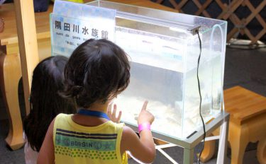 夏休みイベント体験。釣りして生き物を探して、隅田川水族館をつくろう！