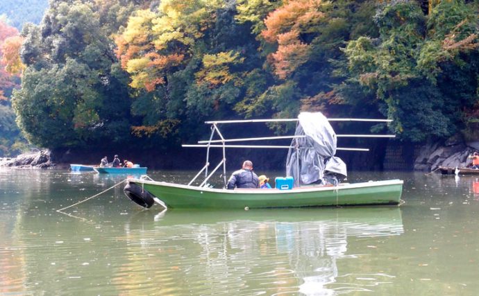 ワカサギ釣りの季節到来！相模湖では2歳魚の良型主体【神奈川県相模湖】