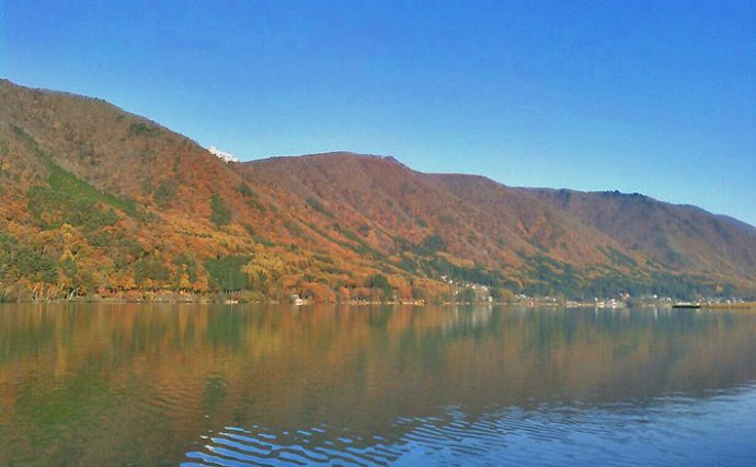 澄んだ湖面にボートを浮かべ、ワカサギドサッと420匹【長野県木崎湖】