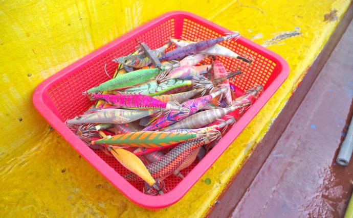 基本をおさらい！参考にしたいエギイカ船釣りのタックルと釣り方紹介！
