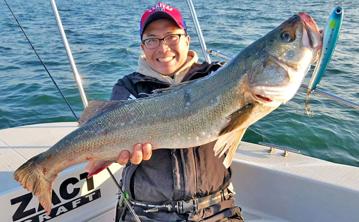 震える体験！30年夢見たシーバス90cm超。東京湾でついに手中に