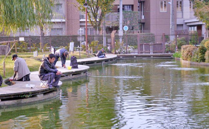 都会でキンギョ釣り。魚影濃く23尾と堪能【東京都浮間つり掘公園】