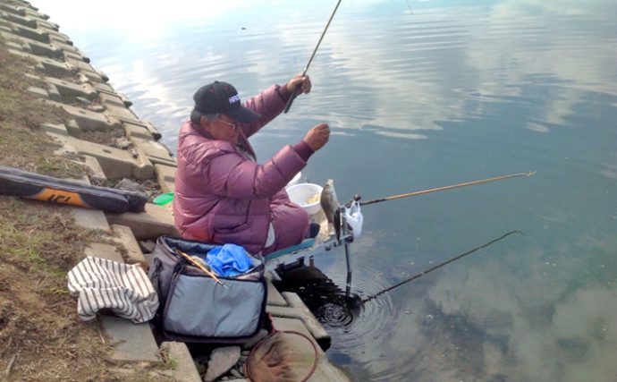 魚影濃厚 冬も元気な合志川でヘラブナ釣り 熊本県合志川 Tsurinews