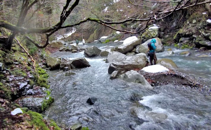 渓流解禁！オススメ河川ガイド！【滋賀県愛知川上流】 | TSURINEWS