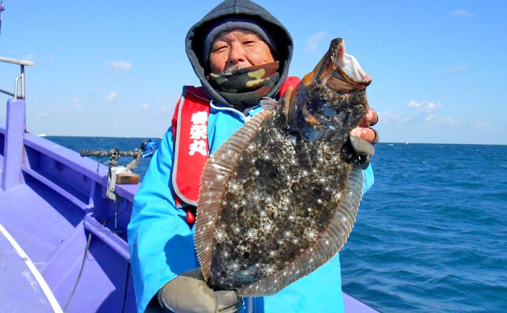 春ビラメ舞い上がる Gwまでチャンス月間 外房大原港春栄丸 Tsurinews