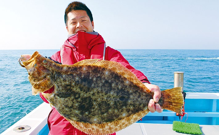 船での泳がせ釣り ヒラメ マゴチ サワラが登場 愛知県 伊良湖沖 Tsurinews