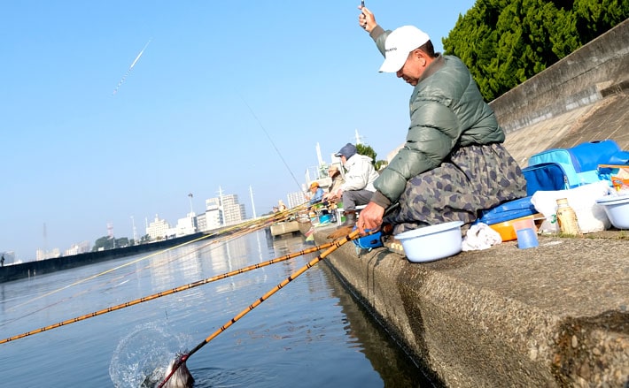 ヘラブナ釣り上達への道しるべ 野釣りの底釣り編 Tsurinews