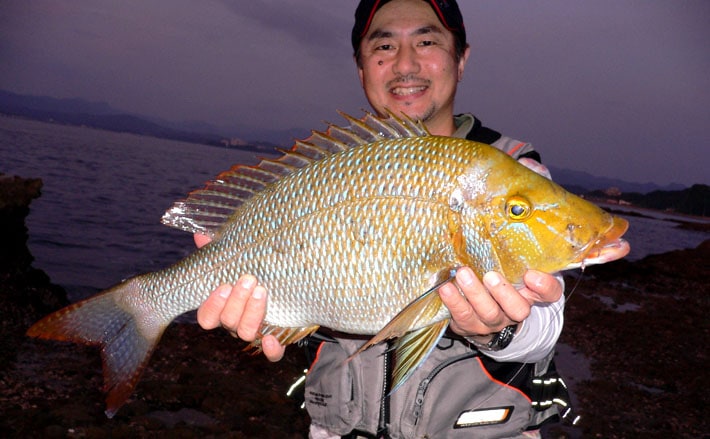 投げ釣りのススメ 磯から狙うハマフエフキ 和歌山県 田辺市 Tsurinews