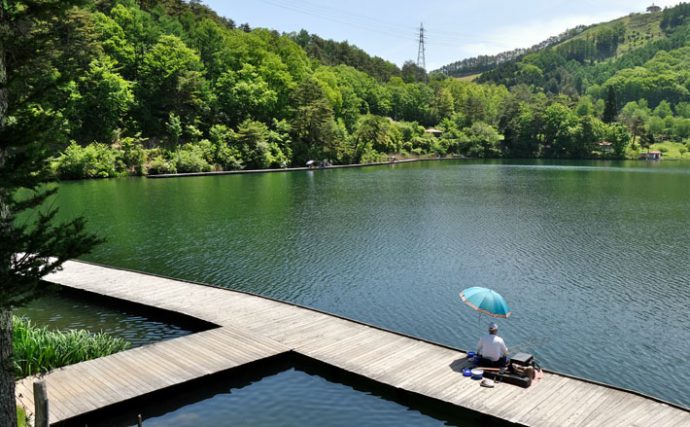 今週の関東ヘラブナ推薦釣り場【長野県・聖湖】