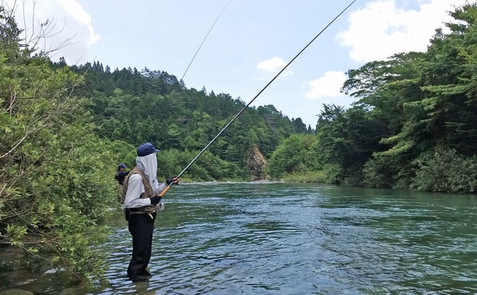 渓流アマゴ釣り：本流で仲間と過ごす素敵な時間【岐阜県・付知川】