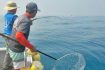 船ジギング釣行：カツオにブリにサワラと魚種豊富！【愛知県・伊勢湾】