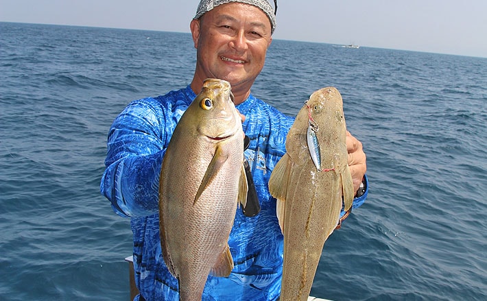 人気上昇中 オフシャロ 攻略 本命イサキをメタルジグで狙う 解説 Tsurinews