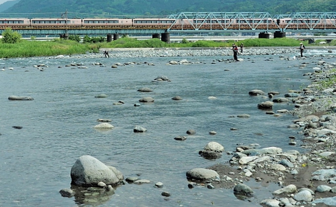 鮎トモ釣り：小場所や流れ強いポイントが穴場！【神奈川県・酒匂川】