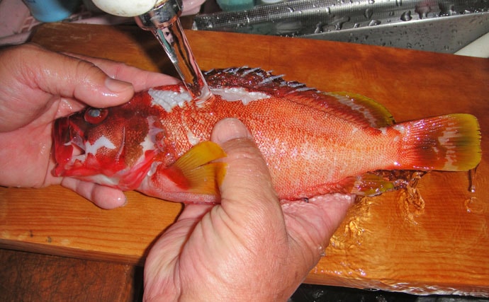 釣果レシピ紹介 アカハタの煮付け 外道魚 いやいや味は天下一品 Tsurinews