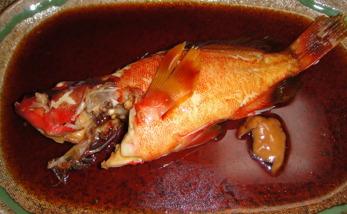 釣果レシピ紹介 アカハタの煮付け 外道魚 いやいや味は天下一品 Tsurinews