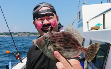 夏カワハギ釣行：船釣り解禁日で怒涛の入れ食い【神奈川県・剣崎松輪】