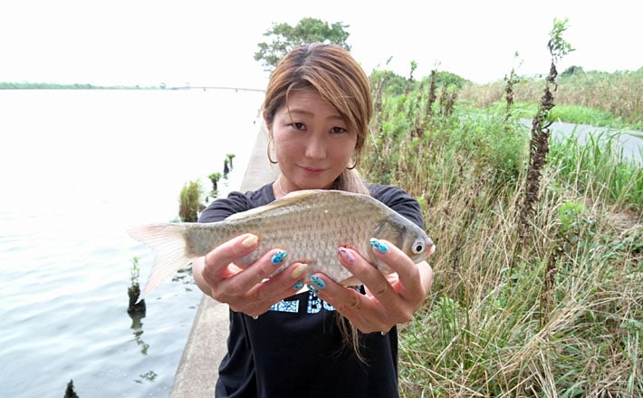 ヘラブナ釣行：釣友ミホリンについに勝利か？！【茨城県北浦・渚】 | TSURINEWS