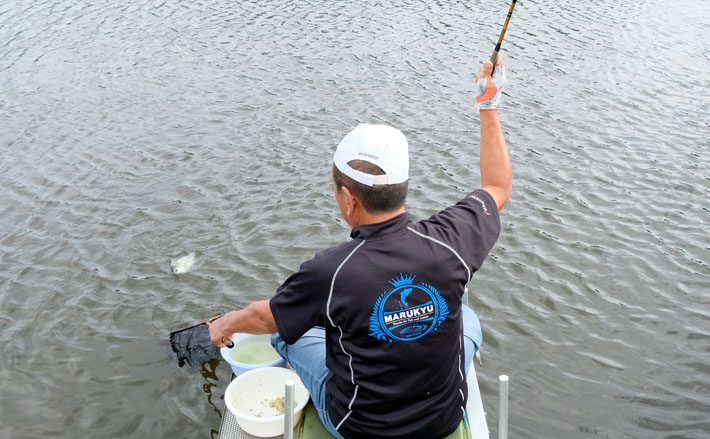 ヘラブナ釣り上達への道しるべ 埼玉の人気釣り場 ビン沼攻略法 Tsurinews