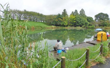 今週のヘラブナ推薦釣り場【埼玉県・切所沼】