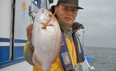 船コマセハナダイ釣行：三段引きがたまらない！【千葉県・喜美丸】