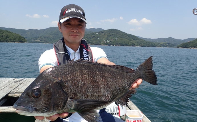 クロダイかかり釣り初心者入門：最初の1尾を手にするまでのキホン解説