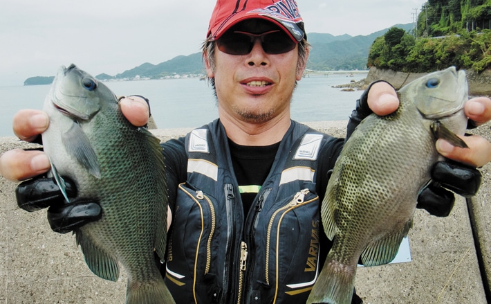 波止フカセ釣行：本命グレの型出ずも美形チヌ登場！【淡路島・古茂江
