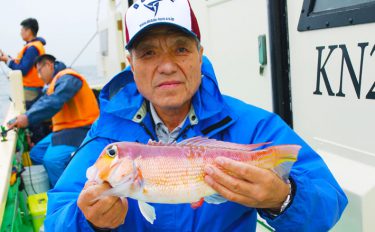 相模湾アマダイ釣行：潮が良ければ船中連発！【神奈川県・まごうの丸】