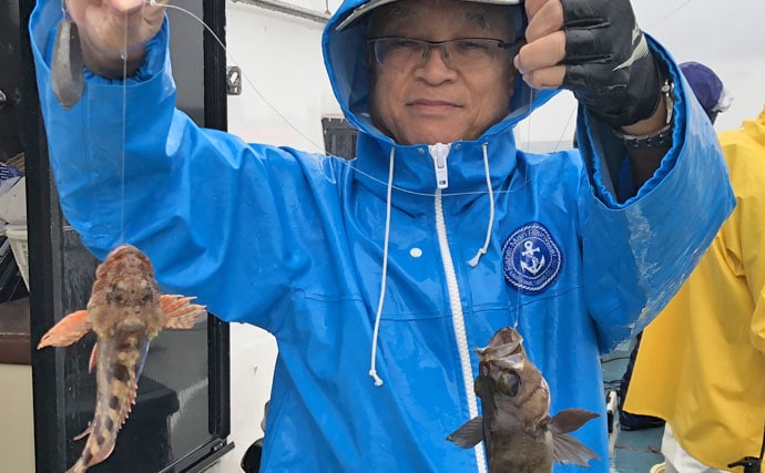 最盛期！ウタセ五目釣り入門：おいしい魚種多彩で楽し！【キホン解説】