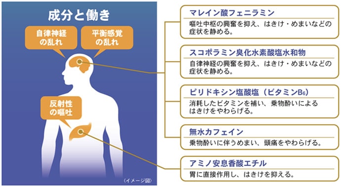 船酔いなんて怖くない 専門家に聞くメカニズムと攻略法 徹底解説 Tsurinews Part 2