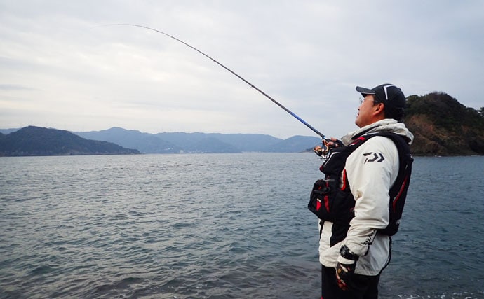 唯一無二の面白さ ヤエン釣りでアオリイカ 和歌山県 湯浅の磯 Tsurinews