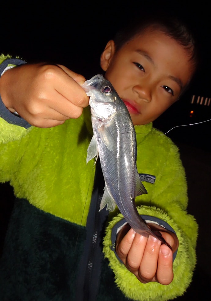 子供と一緒に釣り行こう！夜の堤防でアタリ連発【愛知県・大井漁港】