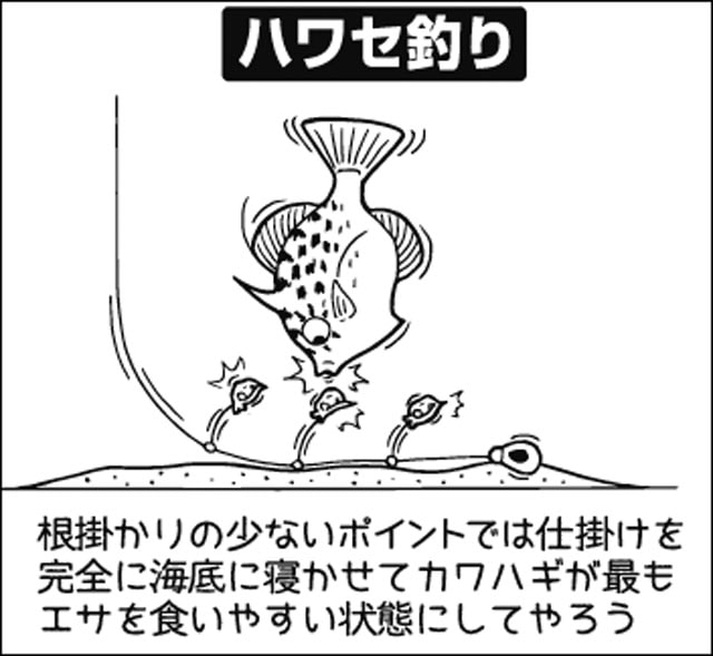 中毒者続出の釣り！高いゲーム性と美味が人気！船カワハギ解説【東海】