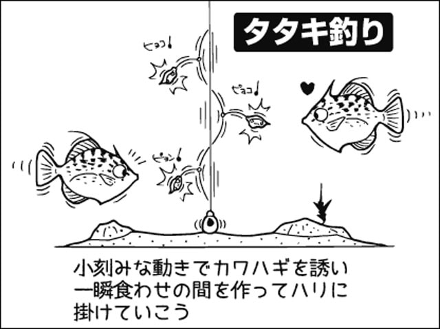 中毒者続出の釣り！高いゲーム性と美味が人気！船カワハギ解説【東海】